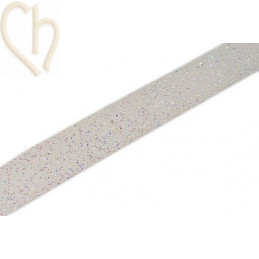 Swarovski Crystal Fabric 20mm Crystal AB